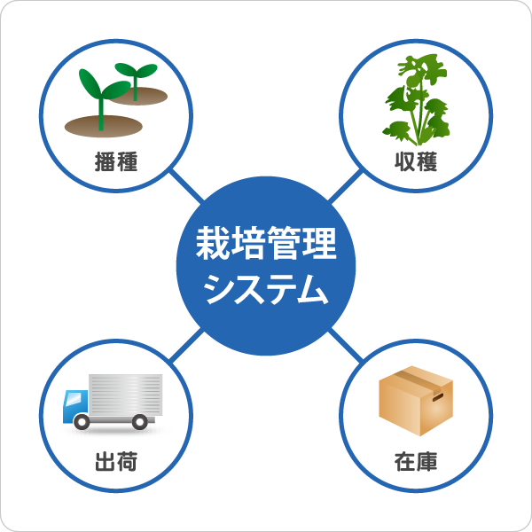 コメリグループのシステム会社 株式会社ビット エイの栽培管理システム紹介ページです